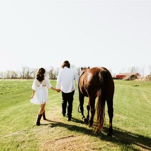Gallery Photo 9