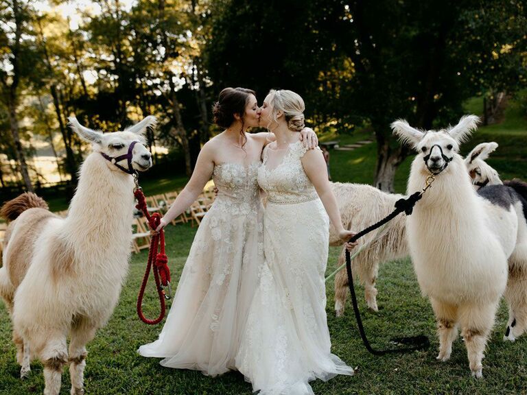 Brides kissing next to llamas at cottagecore wedding
