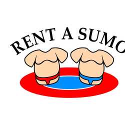 Rent a Sumo - Party Rental, profile image