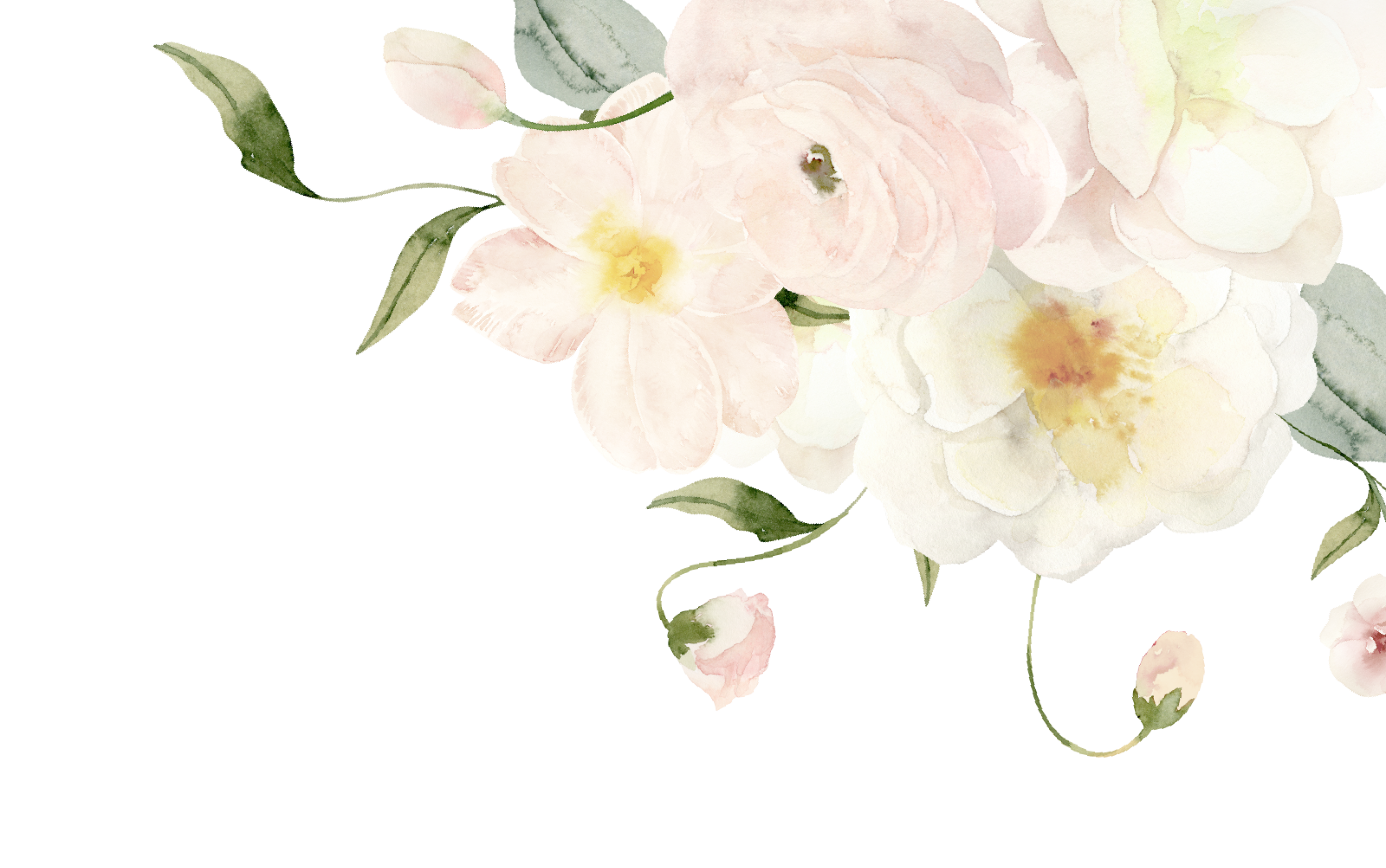 Top Theme Image