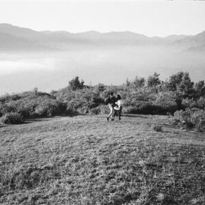 Gallery Photo 6