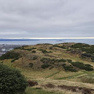 Gallery Photo 342