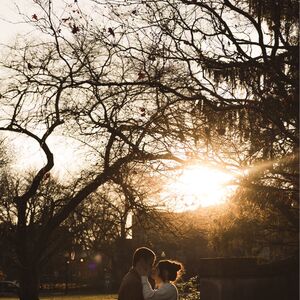 Gallery Photo 8