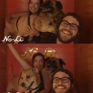 Gallery Photo 9