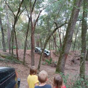 Gallery Photo 57