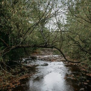 Gallery Photo 11