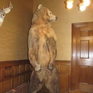 Gallery Photo 57