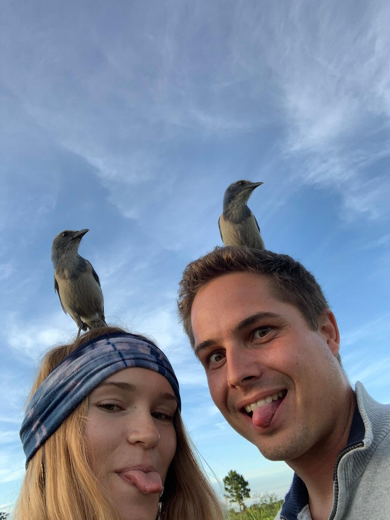 So... he obviously passed the test so a solo date was in order and then somehow it became another double date but this time with birds.