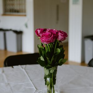 Gallery Photo 18
