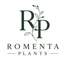 Vendor Logo