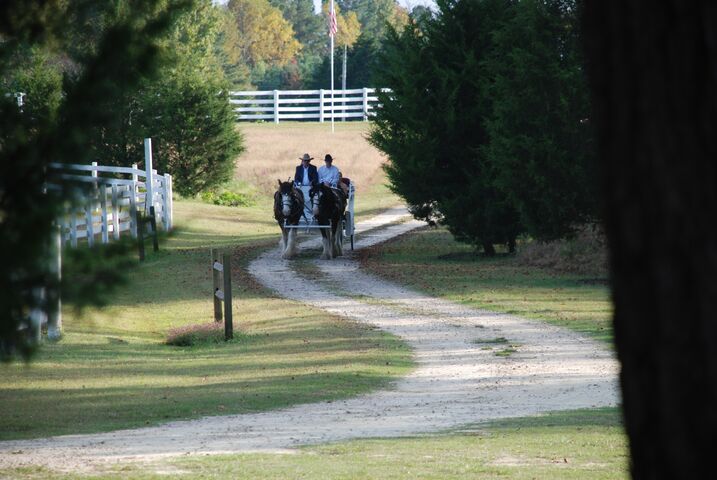 Bennett Bunn Plantation Reception  Venues  Zebulon  NC 