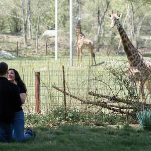 Gallery Photo 15