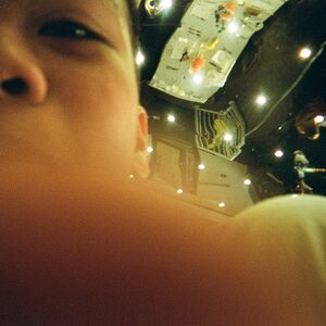 Gallery Photo 239