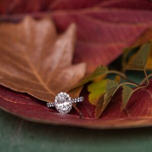 Gallery Photo 37