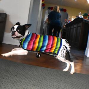 Gallery Photo 56
