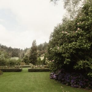 Gallery Photo 3