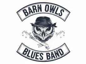 Barn Owls Blues Band - Blues Band - Temecula, CA - Hero Gallery 2