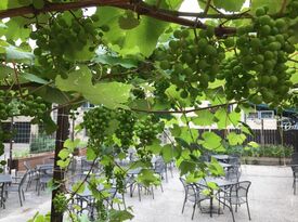 Uncommon Ground (EdgeWater) - Patio - Private Garden - Chicago, IL - Hero Gallery 1