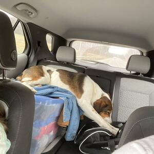Gallery Photo 133