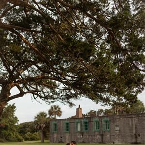 Gallery Photo 40
