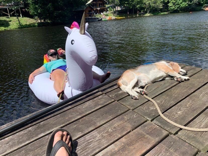 The Ainsley says yes to floaty Unicorns and Paul's proposal of marriage.  