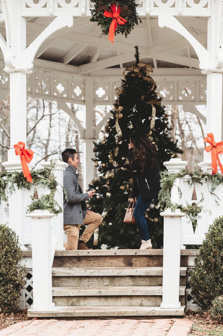 The proposal. Surprise, we’re engaged!