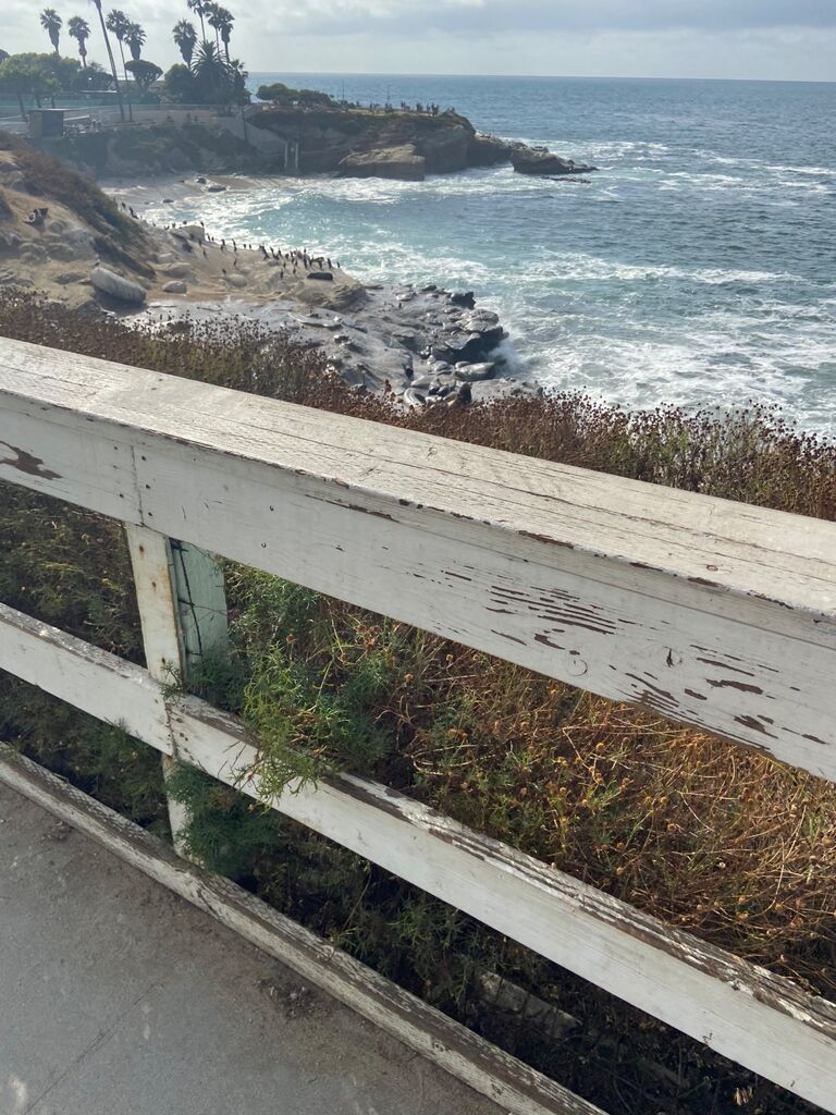 La Jolla, our first ever mini vacation. 