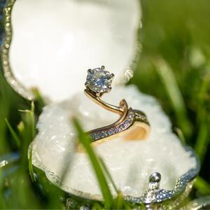 Gallery Photo 23