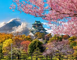 View of  Osaka Castle Park, Osaka Japan