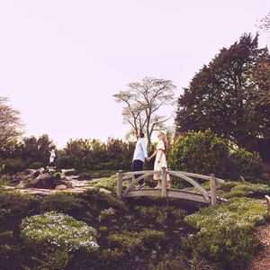 Gallery Photo 9