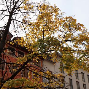Gallery Photo 100