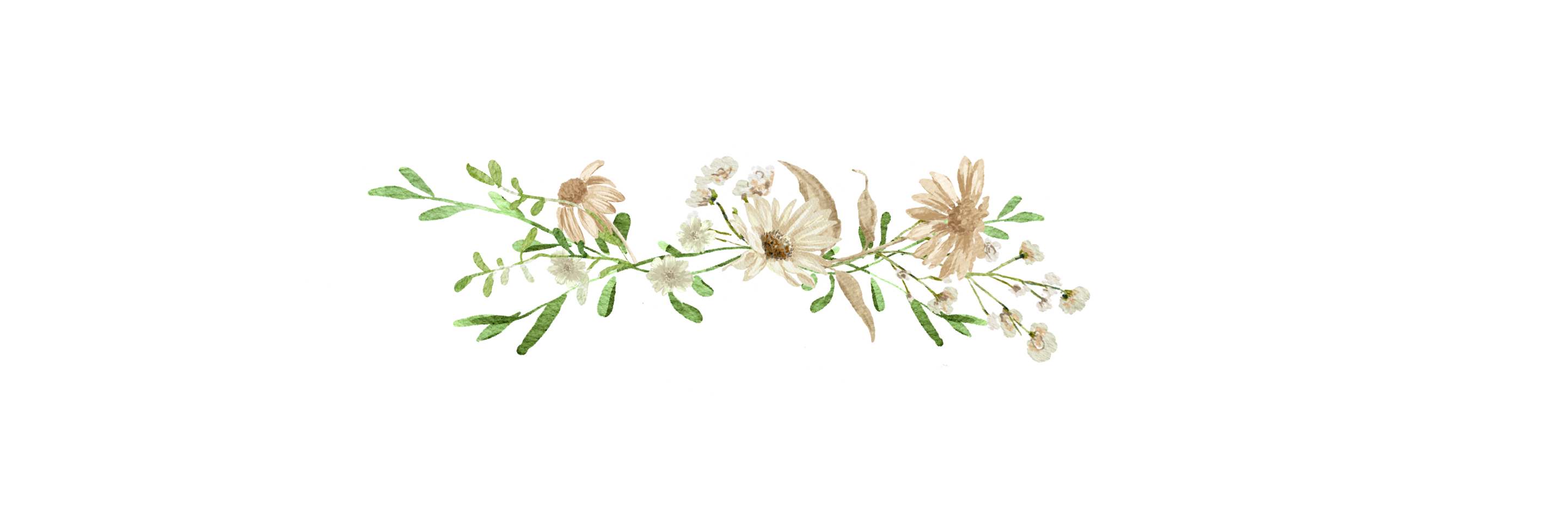 Top Theme Image