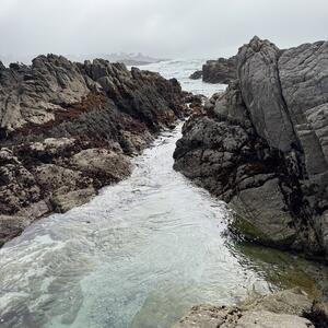 Gallery Photo 20