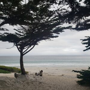 Gallery Photo 9