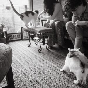 Gallery Photo 11