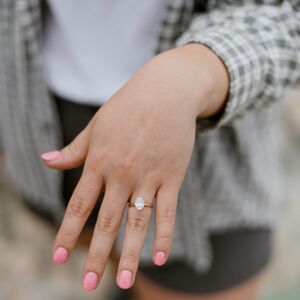 Gallery Photo 8