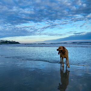 Gallery Photo 137