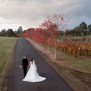 Gallery Photo 208
