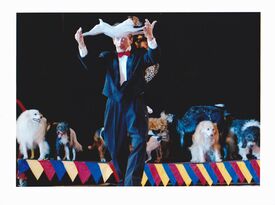 Johnny Peers Comedy Dogs Visual Comedy Artist - Animal For A Party - Bradenton, FL - Hero Gallery 1