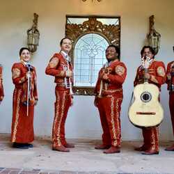 Mariachi Nueva Fusión, profile image