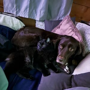 Gallery Photo 21