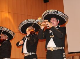 The NYC Mariachi Inc.®- Featuring Mariachi Tapatio - Mariachi Band - Brooklyn, NY - Hero Gallery 4