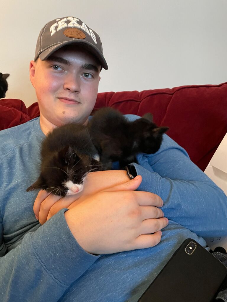 Our foster kittens, one of which became a foster fail.