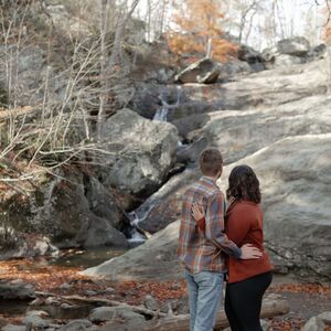Gallery Photo 35