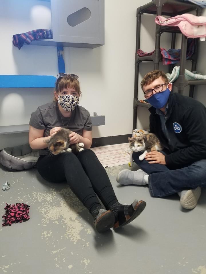 Erica helped George find two cats, Noel and Stella, to adopt and spoil.
