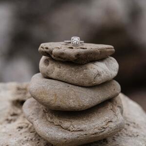 Gallery Photo 41