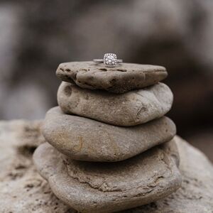 Gallery Photo 41
