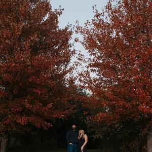 Gallery Photo 15