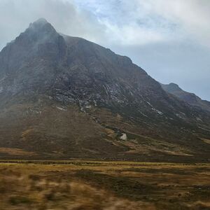 Gallery Photo 214
