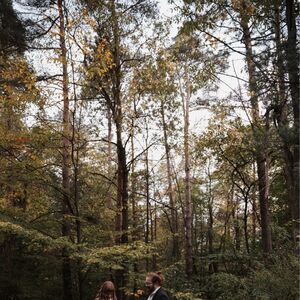 Gallery Photo 14